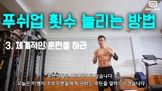 초보자 푸쉬업 팔굽혀펴기 횟수 늘리는 방법 + 훈련루틴 포함