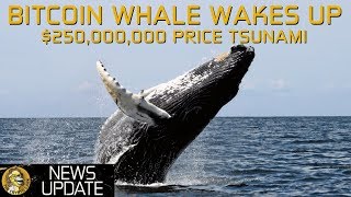 Bitcoin Whale $250,000,000 Moved - Price Tsunami Coming?