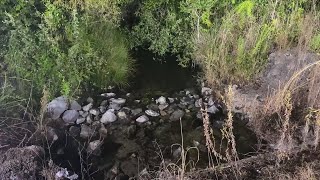 Investigators rule body found in Calhoun County was a homicide
