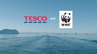 Tesco and WWF | Working Together