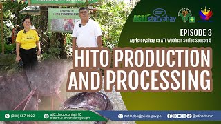 Agristoryahay sa ATI Webinar Series Season 5 - Hito Production Episode