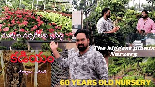 kadiyam | kadiyam palnts nurseries | naga vlogs