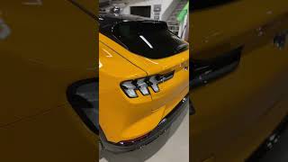 Ceramic coating and ppf help show off this insane paint colour on this Mach e