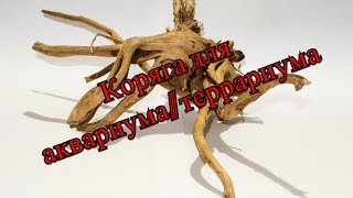 Натуральная коряга для аквариума/террариума