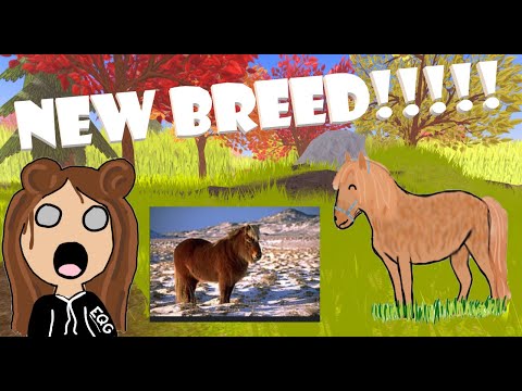 Wild Horse Islands is adding a *NEW BREED!* My predictions