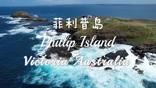 Explore Phillip Peninsula  探索菲利普半岛