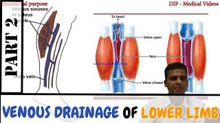 Anatomy | Venous Drainage of Lower Limb | Perforating vein | Made Easy by Dr. Laxman Khanal | Part 2