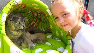 Наша КОШКА родила котят КАК НАЗВАТЬ little kittens ДОМИК для кошки и котят