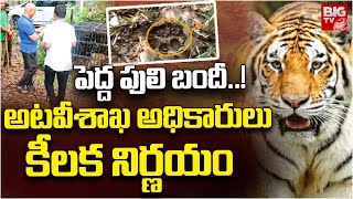 పెద్ద పులి బందీ..! | Tiger In Manchiryala | Forest Officers Key Decision On Tiger | Search Operation