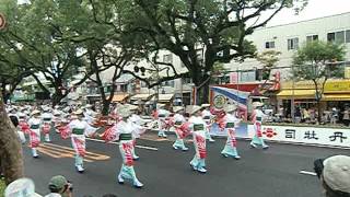 第59回よさこい祭り　四国銀行　島崎和歌子