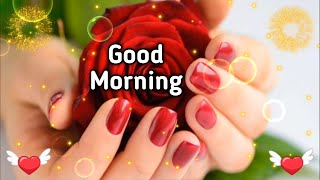 🌹Good Morning🥰 meri jaan | Good Morning shayari video | Wishes for everyone