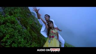 Seethamma Andalu Ramayya Sitralu Movie || Paravasame Song - Raj Tarun , Arthana