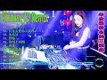 「 我不後悔 dj remix」【一首好聽的古風edm】 動態歌詞 完整高清音質 dj moonbaby