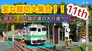 【ふみきり】変な踏切大集合！！１１ｔｈ～仰天！！珍踏切達の大行進！！～