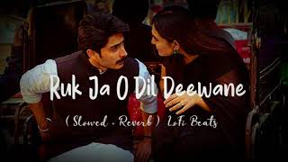 Ruk Ja O Dil Deewane - || Dilwale Dulhania Le Jayenge | Udit Narayan | Slowed + Reverb LoFi Beats ||