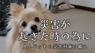 【犬】災害が起きた時の為に備える物【人とペットの災害対策の備え】