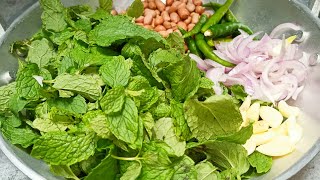 ಪುಧಿನ ಚಟ್ನಿ ಸಾಕು ತಟ್ಟೆ ಕಾಳಿ ಮಾಡ್ತಾರೆ | MINT CHUTNEY | CHUTNEY RECIPE | PREMA RECIPES