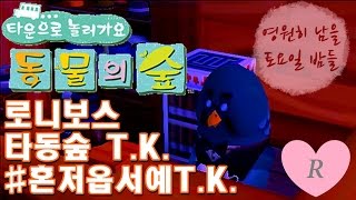 로니보스) Wii 동물의 숲 T.K. - 혼저옵서예T.K.