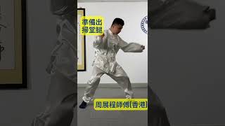 Tai Chi Sweeping Leg 太極旋風掃堂腿