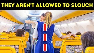 20 Things Flight Attendants Can't Do at Any Price