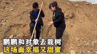 和对象去栽树，鹏鹏挖土对象扶树，这场面既幸福又甜蜜【鹏鹏在农村】