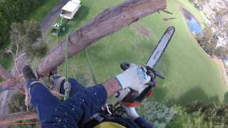 Solo Rigging