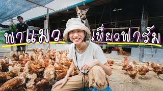 My Kid Ep. 2 - พาแมวแอ่วฟาร์ม ห่านไล่จิก! | Bring My Cat to A Farm!