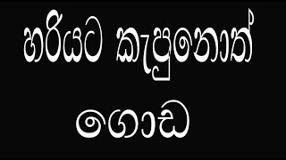 Nice Cut Revealed | වාසනාව තමයි