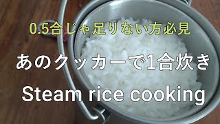 【ソロキャンプ】これソロ炊飯ジャーでいいよね、もう。