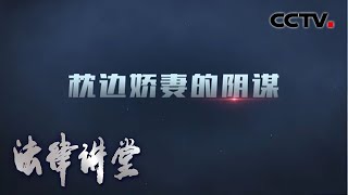 《法律讲堂(生活版)》 枕边娇妻的阴谋 20200416 | CCTV社会与法