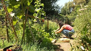 No muchos saben esto | Cocinar con los que hay en la Huerta