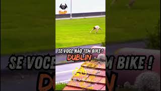 Foi dada a largada em Dublin! #trending #irlanda #cavalo #dublin #funny #memes #brasileirosemdublin