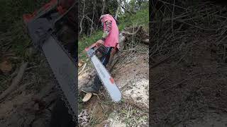 Motosierra Husqvarna 585 - Buenas herramientas y maquinaria facilitan el trabajo