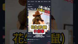 花生(松鼠)什麼事 1萬U挑戰第19天 | 10k USDT Challenge Day 19 #加密貨幣 #交易 #btc #eth #shorts #fyp #binance #幣安 #pnut