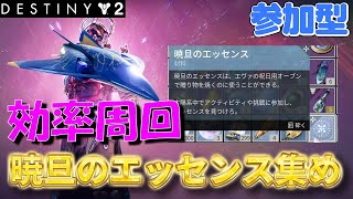 【暁旦イベント】Destiny2 土曜昼下がり【砕かれた玉座でエッセンス集め】