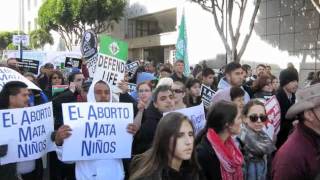 Walk for Life 2012