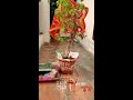 jai tulsi maiya shorts shortsvideo shortvideo youtubeshorts short