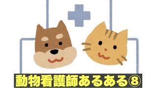 【あるある】動物看護師あるある⑧ #shorts