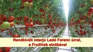 Rendkívüli interjú Ledó Ferenc úrral, a FruitVeb elnökével