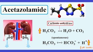 acetazolamide