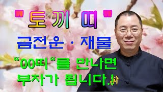 [토끼띠사주] 나의 사주팔자는? \