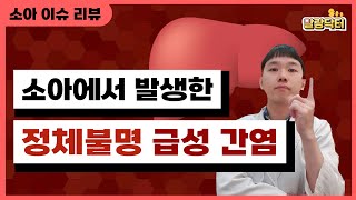 영국에서 시작한 원인불명 소아 급성 간염에 대한 리뷰