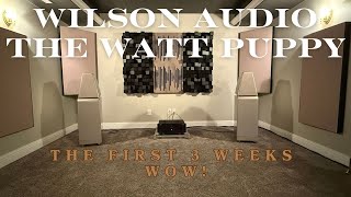 WILSON AUDIO THE WATT PUPPY,  THE FIRST 3 WEEKS. WOW!