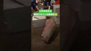 少見的巨大旗魚舅(劍旗魚)段肉，與它相關的資訊我放留言區唷！#魚