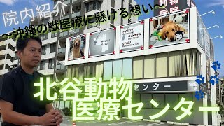 【病院紹介】沖縄県の病院初紹介♪【北谷動物医療センター】沖縄の獣医療に懸ける想い