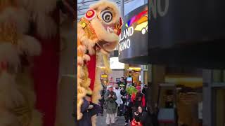 Chinese New Year Rotterdam 2025. 2025 年鹿特丹农历新年.     舞狮