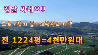 귀농 귀촌 하실분 꼭 한번 시청해 보세요!! 계획관리지역 전망+전기+도로+ 물 토지1223평  평당 3만원 대~