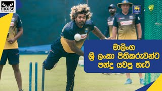 ලසිත් මාලිංග නැවතත් පන්දුව අතට ගනියි | Lasith Malinga picks up bowling boots again