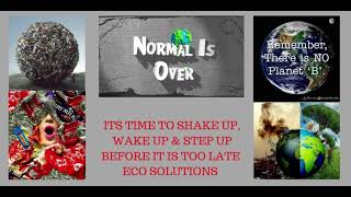 Ecoism 17-40 Why Normal is Over with Renee Scheltema