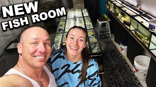 I built my wife a fishroom! - The king of DIY